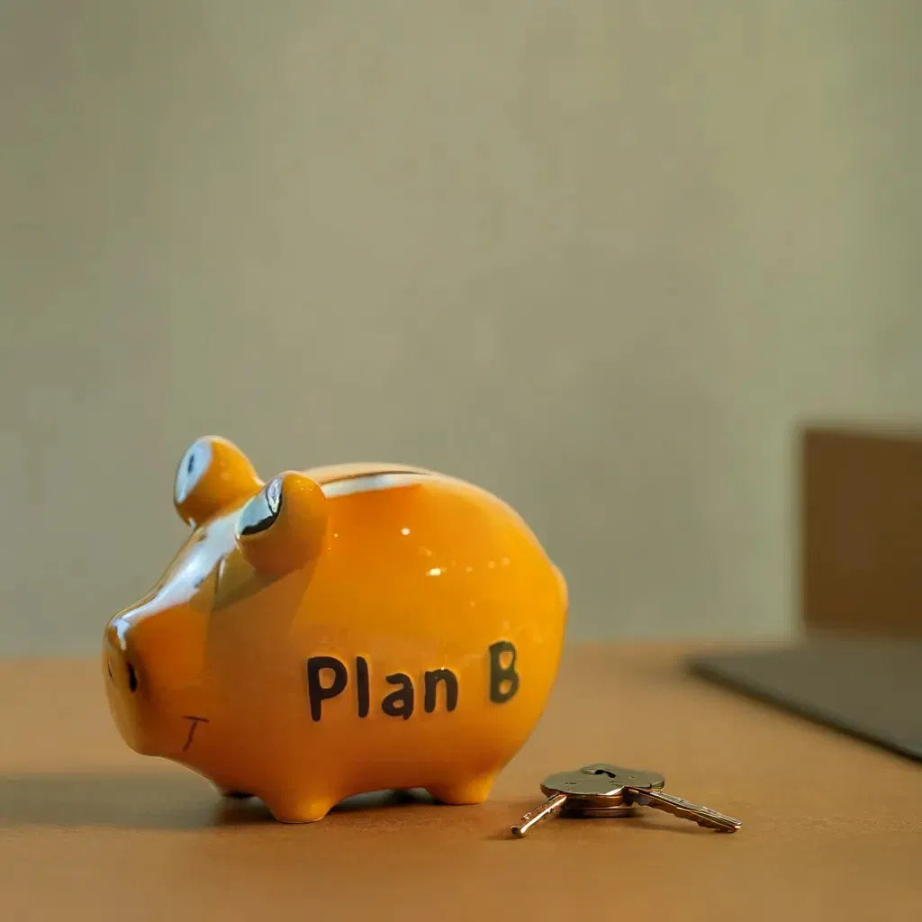 Sparschwein, Plan B