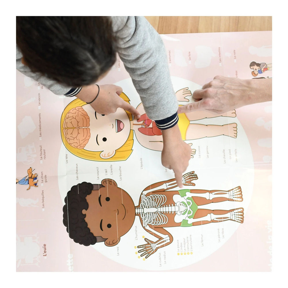 Sticker Lernposter Menschlicher Körper