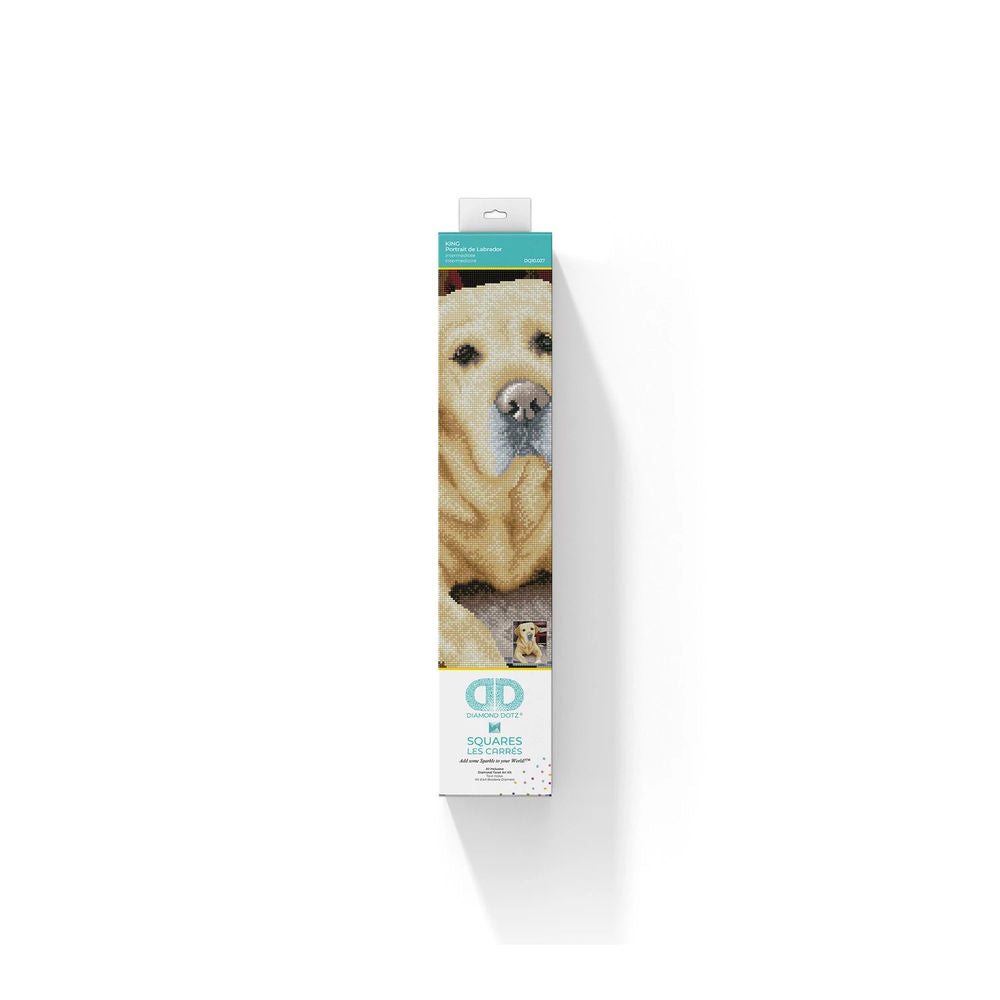 Diamond Painting Labrador