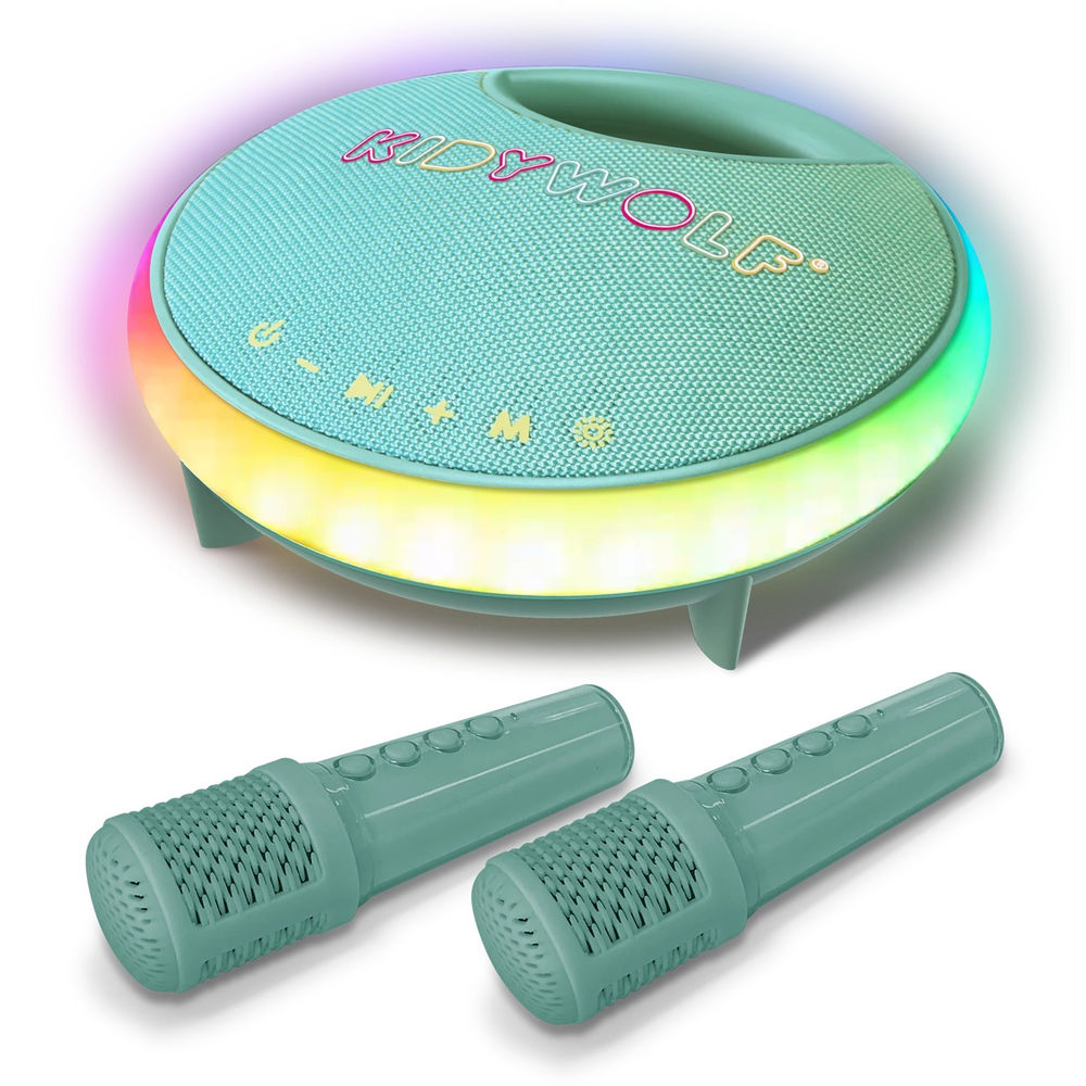 Bluetooth Karaoke Lautsprecher