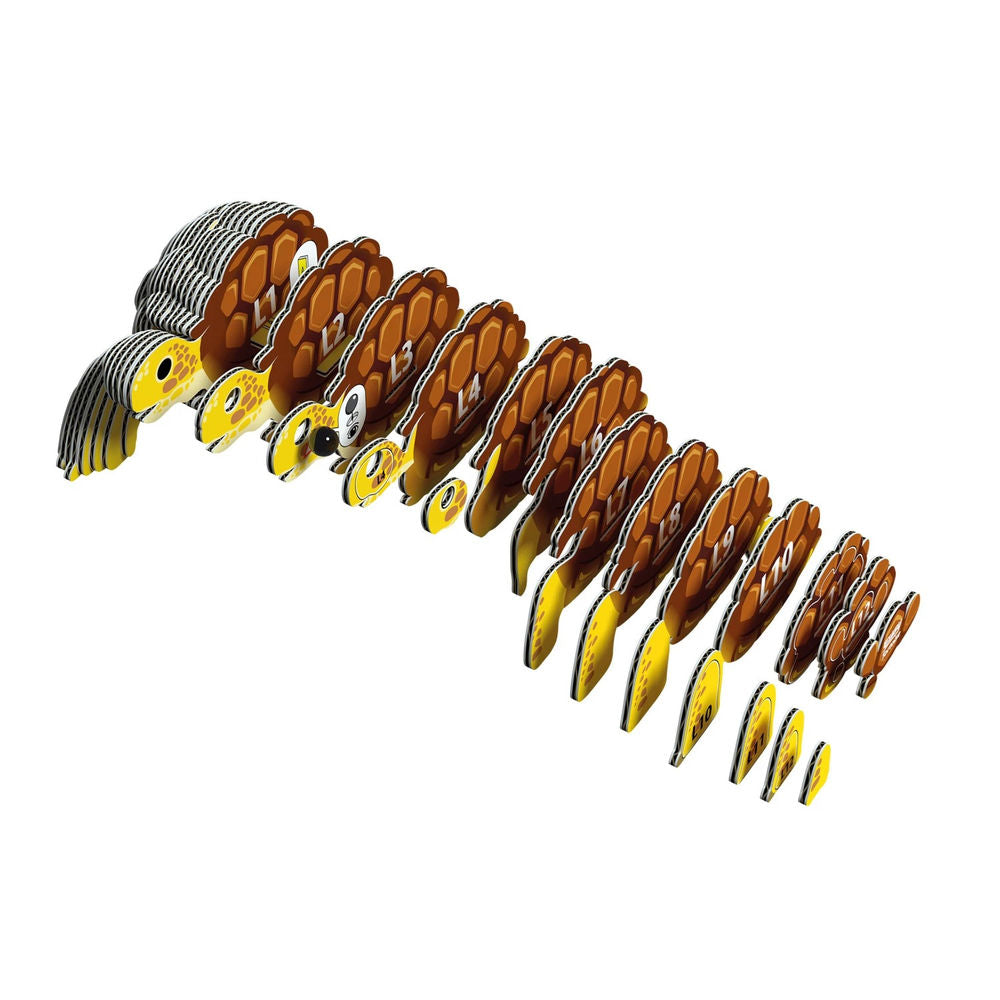 3D Bastelset Landschildkröte